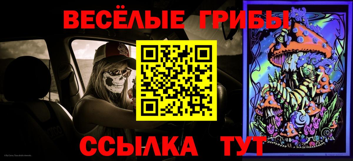 Галлюциногенные грибы Psilocybine cubensis  Вход с VPN  Янаул 
