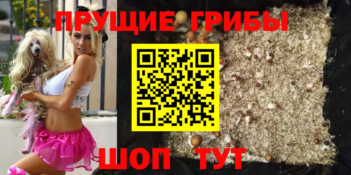 Псилоцибиновые грибы GOLDEN TEACHER Янаул